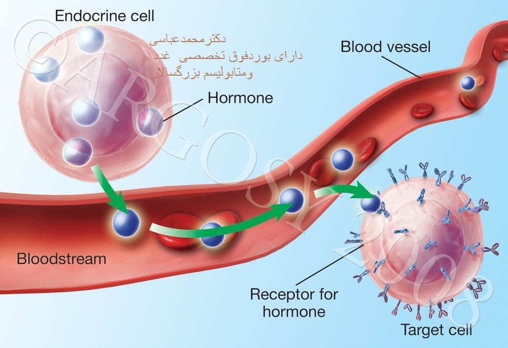 وب سایت نوبت دهی اینترنتی مطب دکتر خانم ایمانی